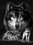 pic for 3D Wolf